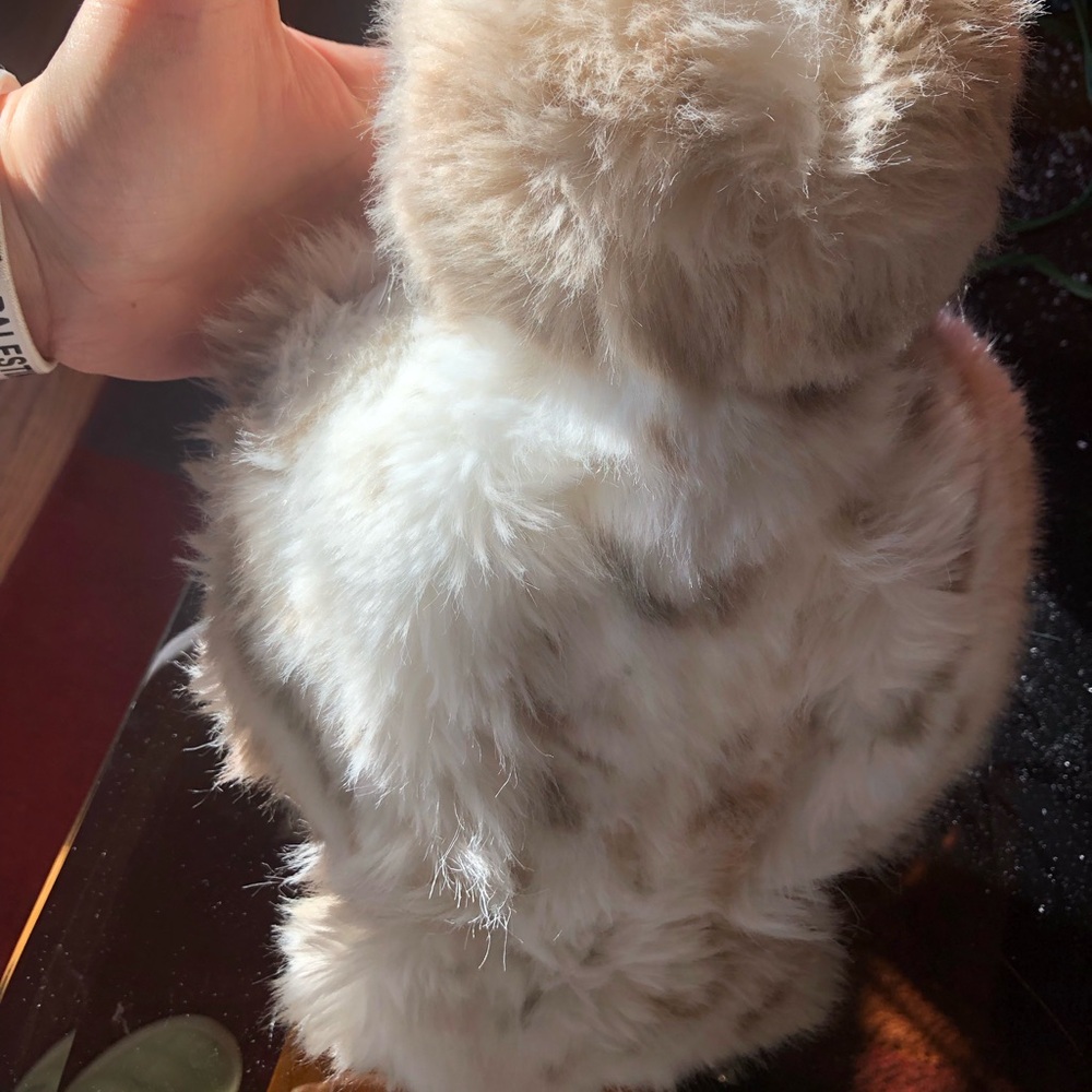 Steiff Wiggi the Owl soft plush - Picture 6 of 8